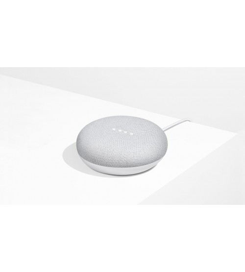 Google Nest Mini 2nd Smart Home